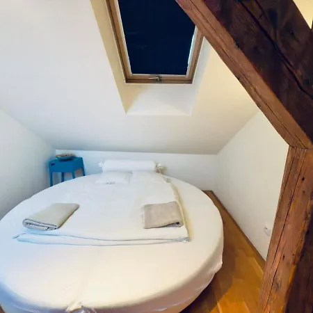 Attic 15 Min To Charles Bridge شقة